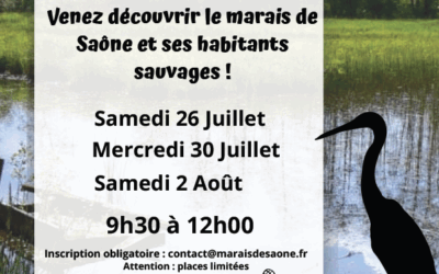Visites estivales du marais et permanences au chalet d’accueil