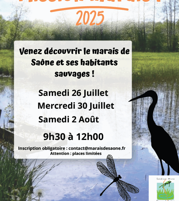 Visites estivales du marais et permanences au chalet d’accueil