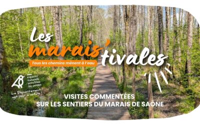 Les visites estivales 2026